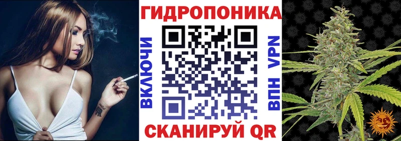 Бошки Шишки сатива  Алагир 